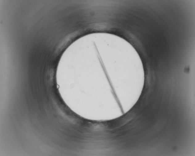 X0000113130115200910161142