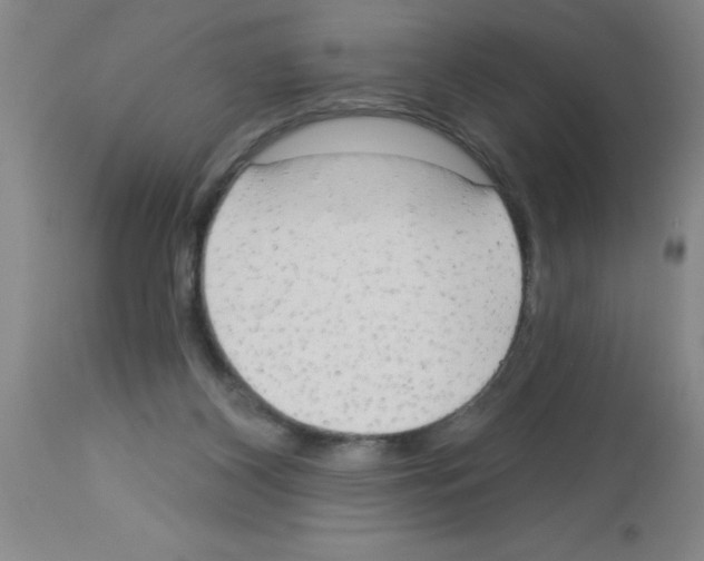 X0000113130116200910161142