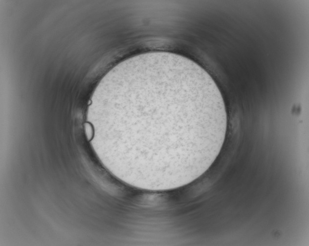 X0000113130117200910161142