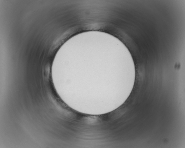 X0000113130118200910161142