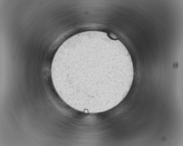 X0000113130119200910161142
