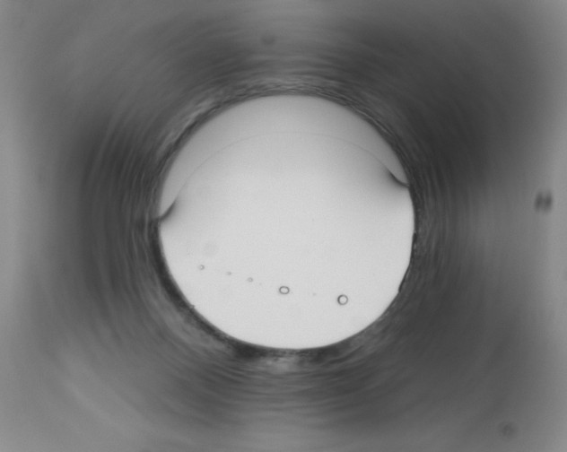 X0000113130120200910161142