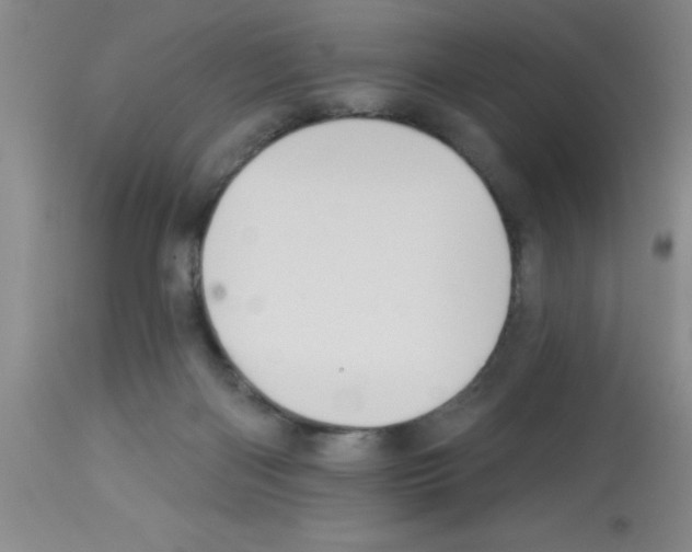 X0000113130122200910161141