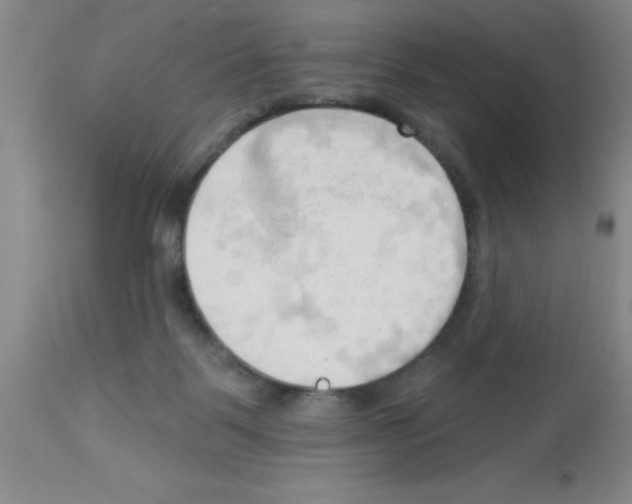 X0000113130123200910161141