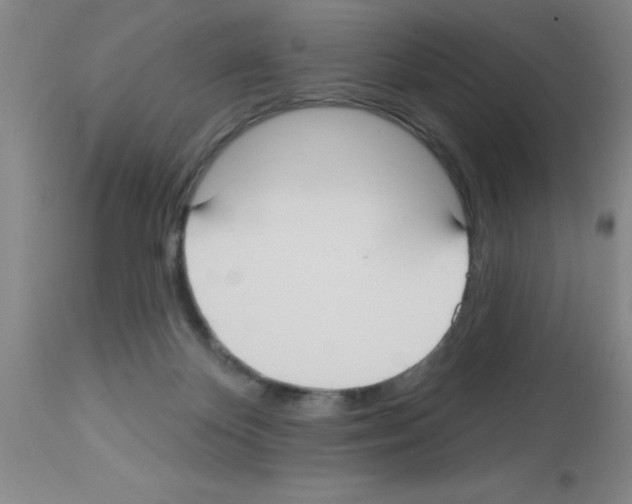 X0000113130124200910161141