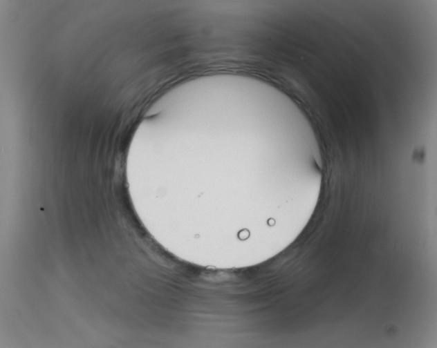 X0000113130125200910161141