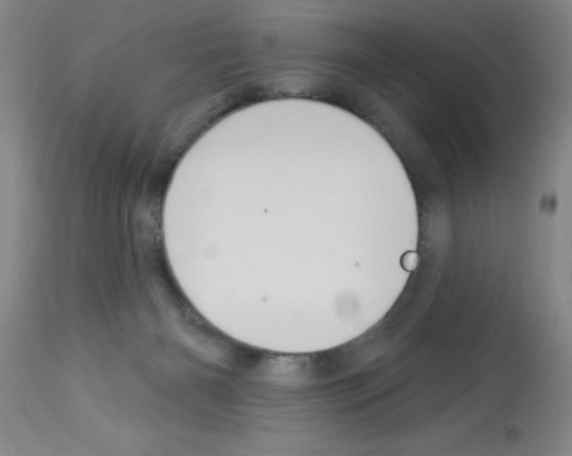 X0000113130126200910161141