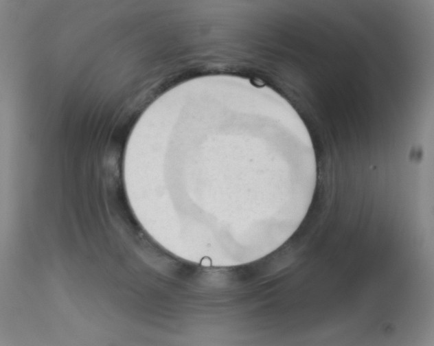 X0000113130127200910161141