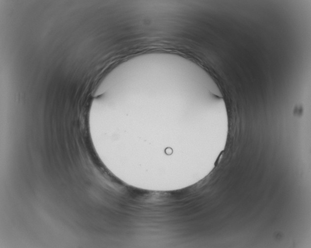 X0000113130128200910161141