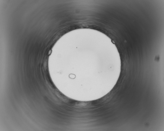 X0000113130129200910161141