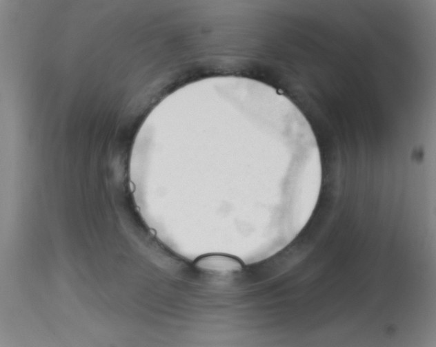 X0000113130131200910161141