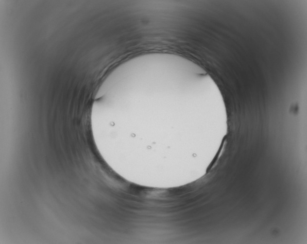 X0000113130132200910161141