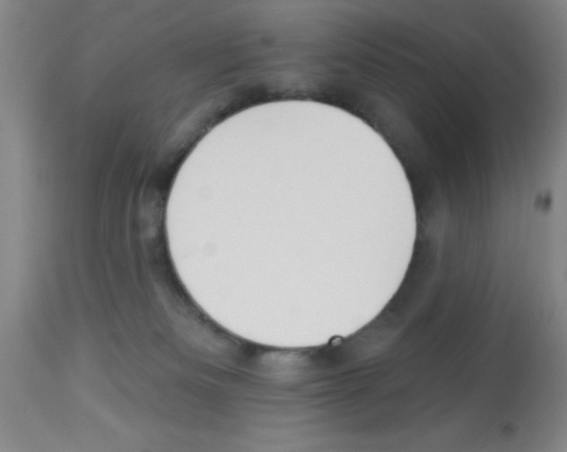 X0000113130133200910161141