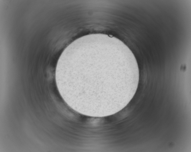 X0000113130135200910161141