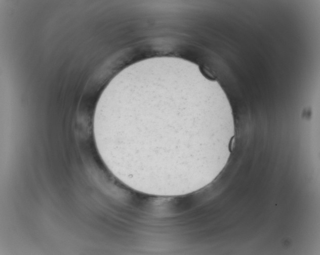 X0000113130136200910161141