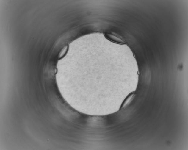 X0000113130137200910161141