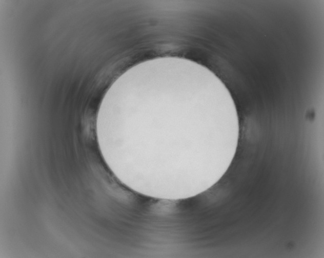 X0000113130138200910161141