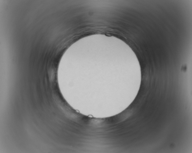 X0000113130139200910161141