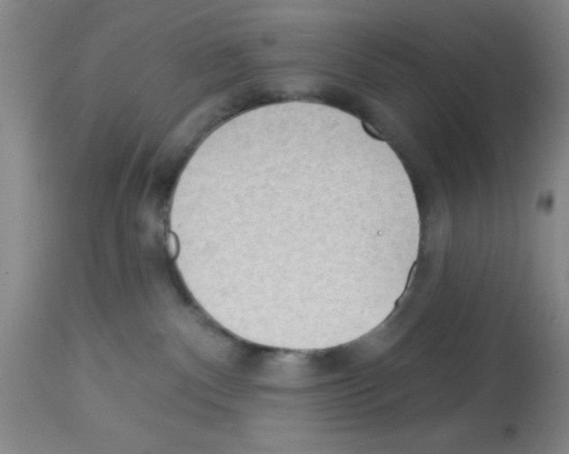 X0000113130140200910161141