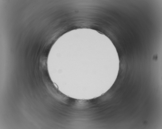 X0000113130141200910161141