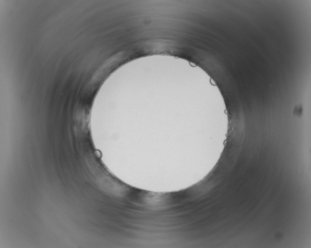 X0000113130142200910161141