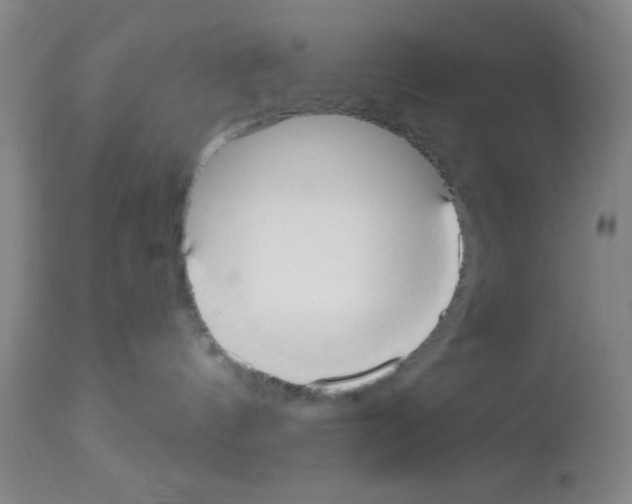 X0000113130144200910161141