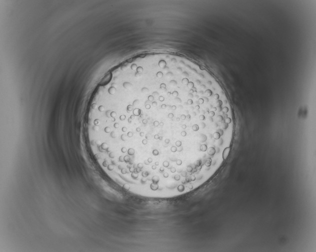 X0000113130145200910161141