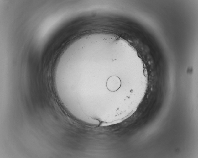 X0000113130146200910161141