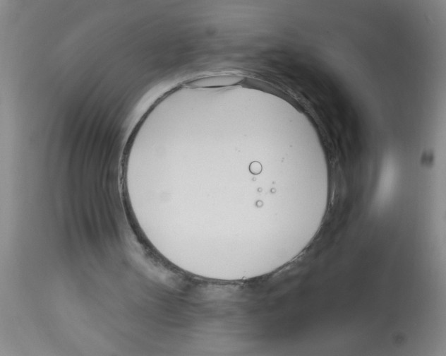 X0000113130147200910161141