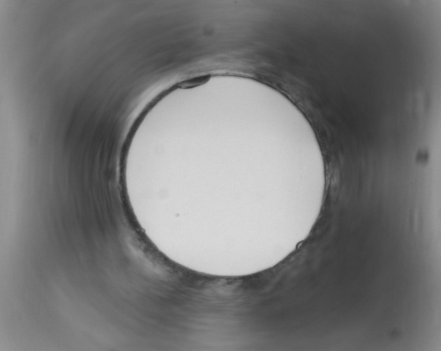 X0000113130148200910161141