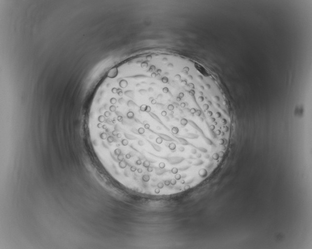 X0000113130149200910161141