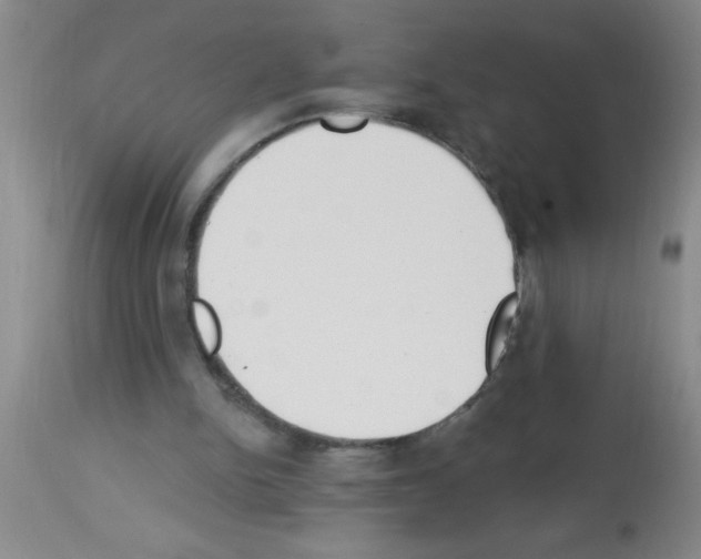 X0000113130150200910161141