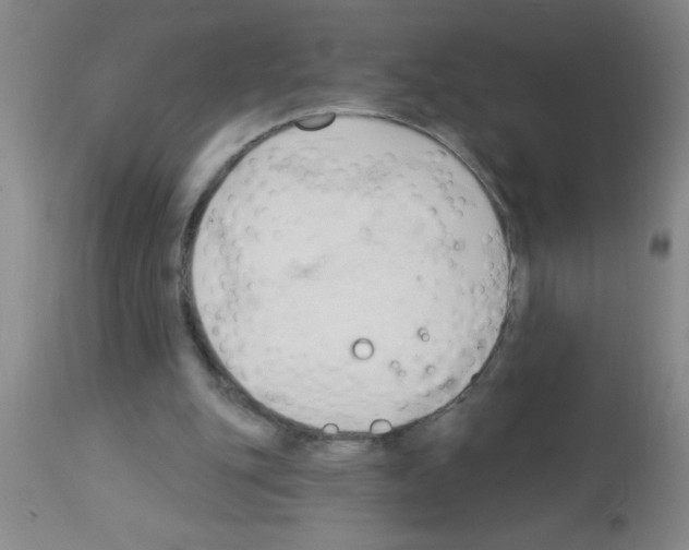 X0000113130151200910161141