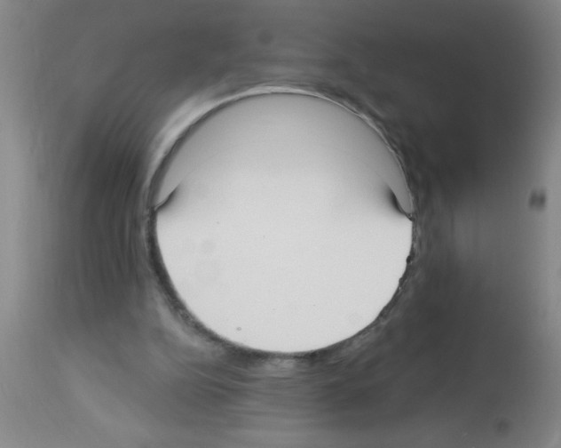 X0000113130152200910161141