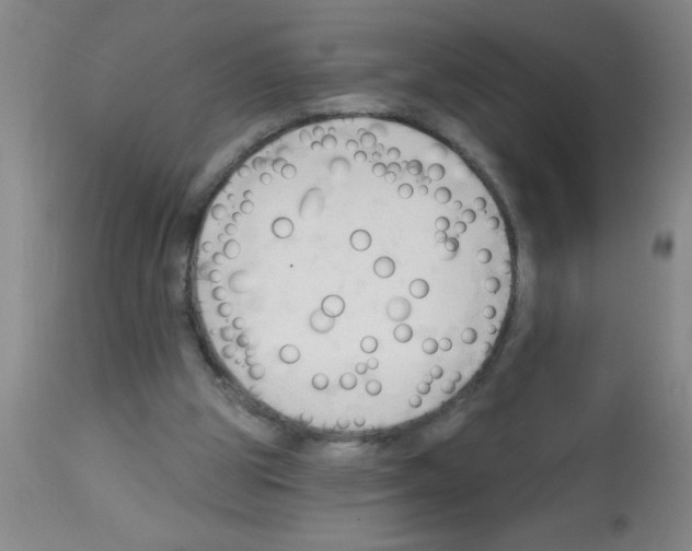 X0000113130153200910161141