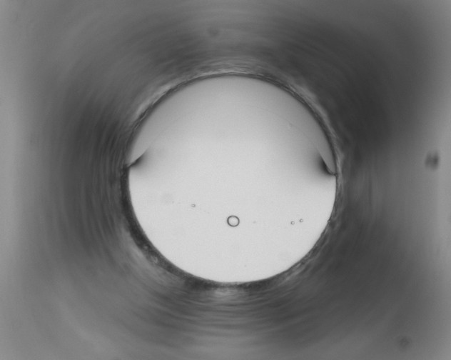 X0000113130154200910161141