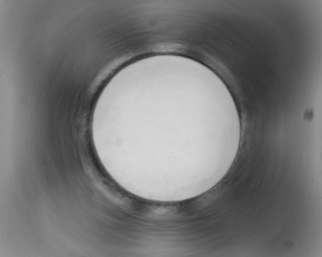 X0000113130155200910161141