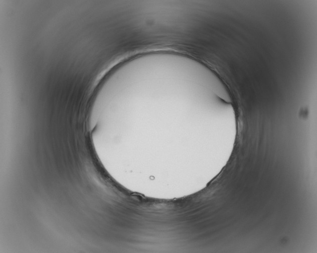 X0000113130156200910161141