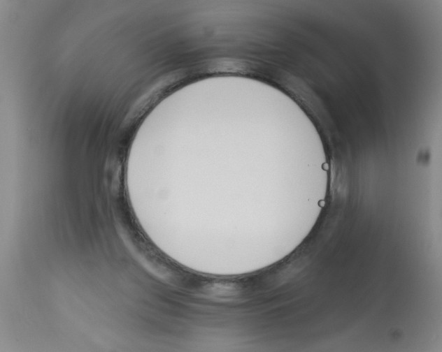 X0000113130157200910161141