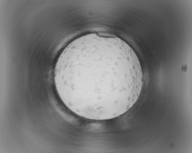 X0000113130159200910161141