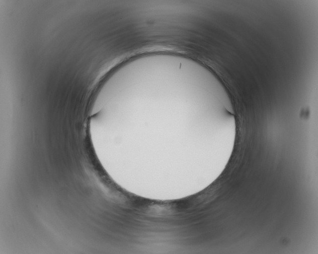 X0000113130160200910161141