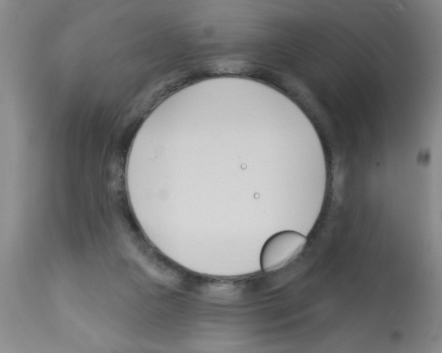 X0000113130161200910161141