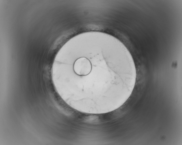 X0000113130162200910161141