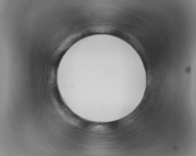 X0000113130163200910161141