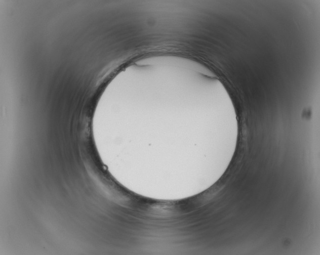 X0000113130164200910161141