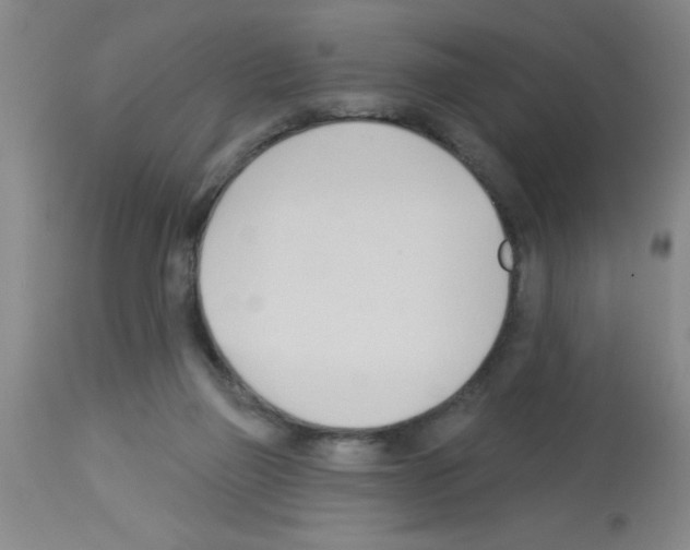 X0000113130165200910161141