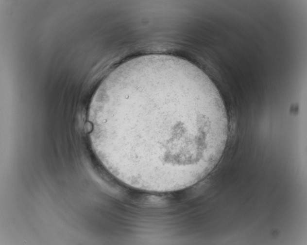 X0000113130166200910161141