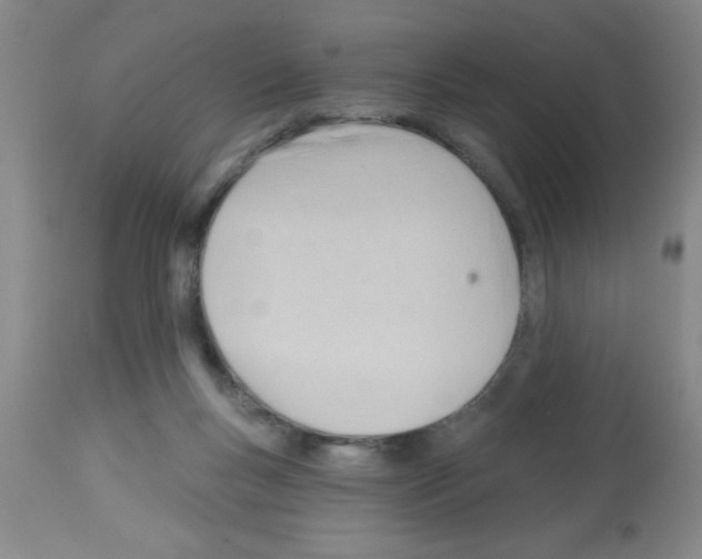 X0000113130167200910161141
