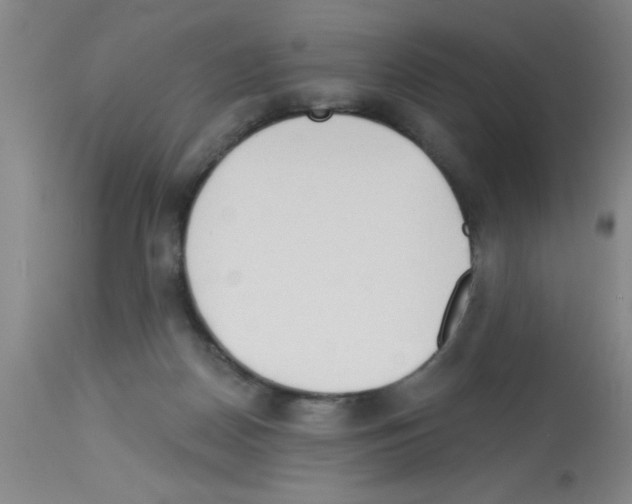 X0000113130170200910161141