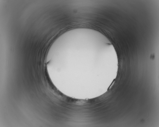 X0000113130172200910161141